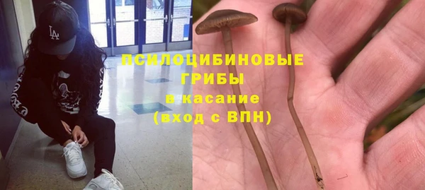 гашик Верея