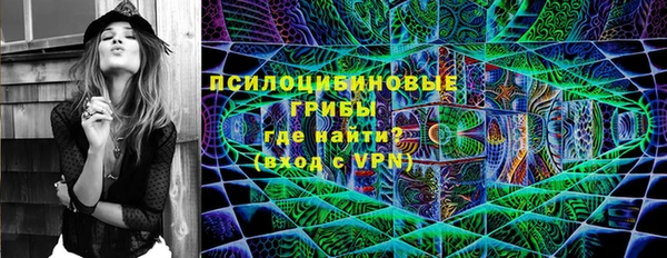 гашик Верея